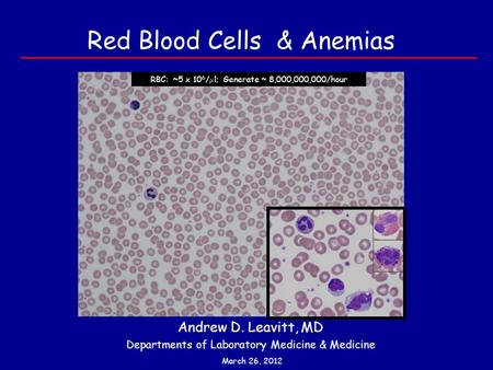 Red Blood Cells & Anemias