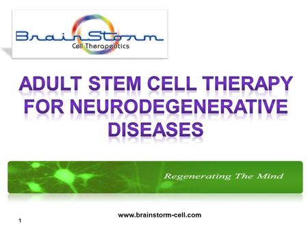 1 www.brainstorm-cell.com. BrainStorm is a leading developer of stem cell technologies to provide treatments for currently incurable neurodegenerative.