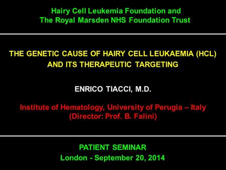 Hairy Cell Leukemia Foundation and