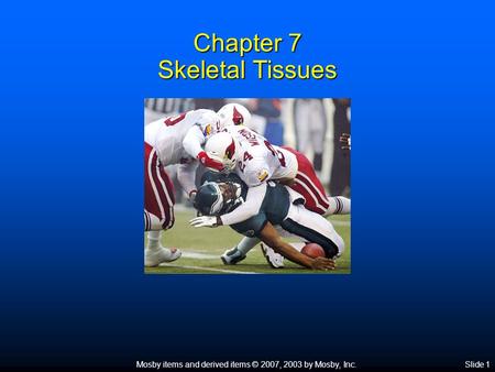 Mosby items and derived items © 2007, 2003 by Mosby, Inc.Slide 1 Chapter 7 Skeletal Tissues.