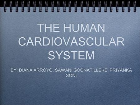 THE HUMAN CARDIOVASCULAR SYSTEM BY: DIANA ARROYO, SAWANI GOONATILLEKE, PRIYANKA SONI.
