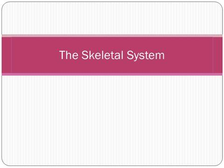 The Skeletal System. Functions It protects our vital organs such as the brain, heart, and lungs It gives us the shape that we have, without it we would.