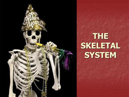THE SKELETAL SYSTEM.