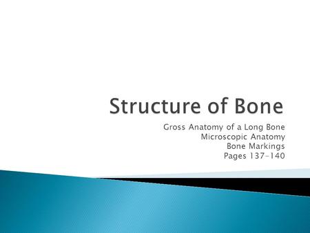 Structure of Bone Gross Anatomy of a Long Bone Microscopic Anatomy