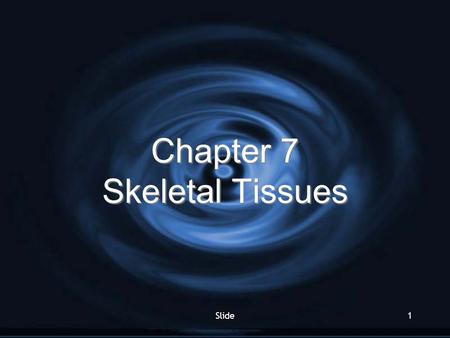 Chapter 7 Skeletal Tissues