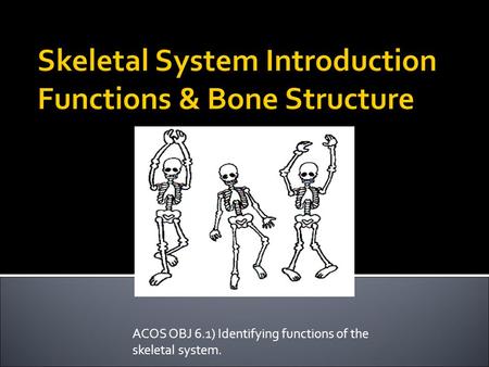 ACOS OBJ 6.1) Identifying functions of the skeletal system.
