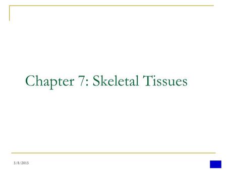 5/8/20151 Chapter 7: Skeletal Tissues. 5/8/20152 FUNCTIONS OF BONE Support: bones form the framework of the body and contribute to the shape, alignment,
