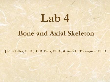 Lab 4 Bone and Axial Skeleton J.R. Schiller, PhD., G.R. Pitts, PhD., & Amy L. Thompson, Ph.D.