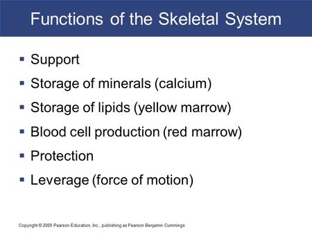 Copyright © 2009 Pearson Education, Inc., publishing as Pearson Benjamin Cummings Functions of the Skeletal System  Support  Storage of minerals (calcium)