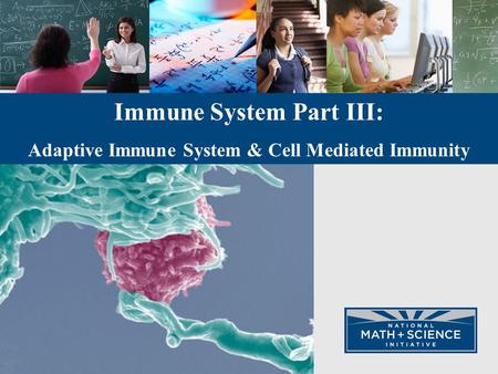 Immune System Part III: