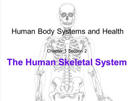 Human Body Systems and Health