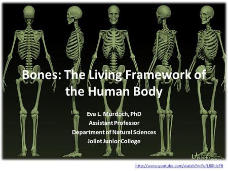 Bones: The Living Framework of the Human Body Eva L. Murdoch, PhD Assistant Professor Department of Natural Sciences Joliet Junior College