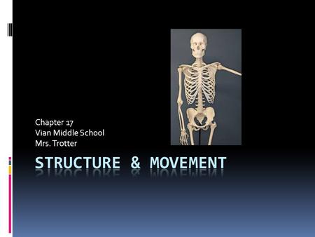 Chapter 17 Vian Middle School Mrs. Trotter. Internal & External Structures Protect Your Body  Bones  skin.