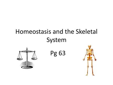 Homeostasis and the Skeletal System Pg 63. Homeostasis Homeostasis – The body’s ability to regulate its inner environment Keeping the body’s systems in.