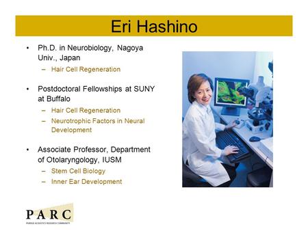 Eri Hashino Ph.D. in Neurobiology, Nagoya Univ., Japan –Hair Cell Regeneration Postdoctoral Fellowships at SUNY at Buffalo –Hair Cell Regeneration –Neurotrophic.