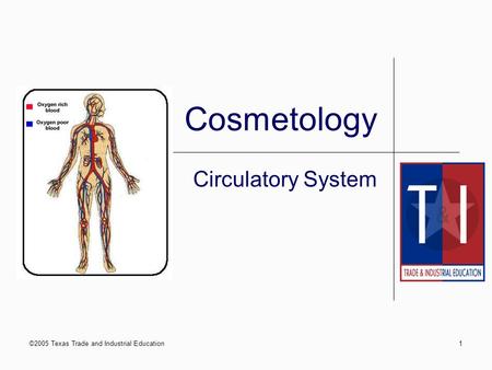 ©2005 Texas Trade and Industrial Education1 Cosmetology Circulatory System.