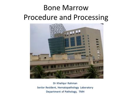 Bone Marrow Procedure and Processing