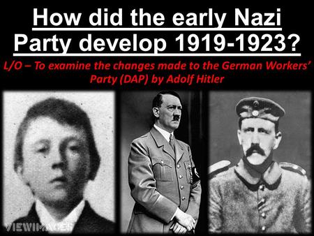 How did the early Nazi Party develop ?