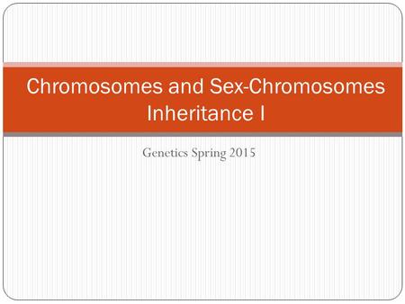 Genetics Spring 2015 Chromosomes and Sex-Chromosomes Inheritance I.