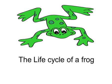 The Life cycle of a frog. From tadpole to frog A female frog lays thousands of eggs in spring. She lays them near still water in woodlands and bogs. The.