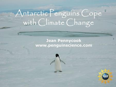 Jean Pennycook www.penguinscience.com Antarctic Penguins Cope with Climate Change.