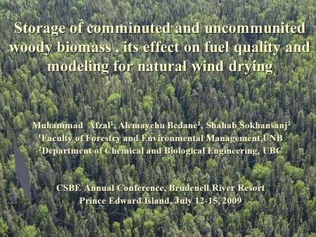 1 Storage of comminuted and uncommunited woody biomass, its effect on fuel quality and modeling for natural wind drying Muhammad Afzal 1, Alemayehu Bedane.