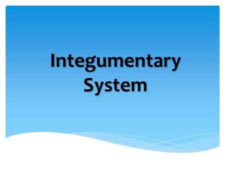 Integumentary System.  Composed of skin, hair, sweat glands, and nails  The name is derived from the Latin integumentum, which means “a covering.” 