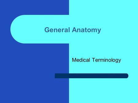 General Anatomy Medical Terminology.