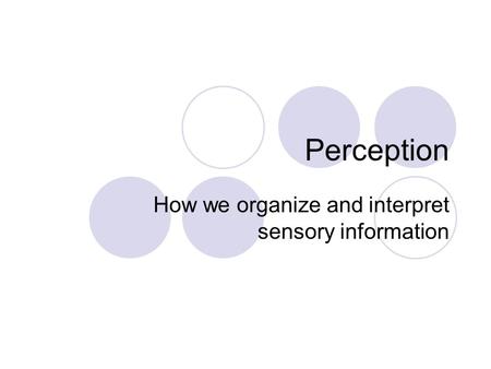 How we organize and interpret sensory information