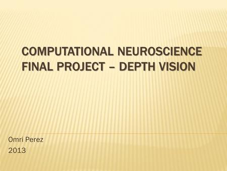 COMPUTATIONAL NEUROSCIENCE FINAL PROJECT – DEPTH VISION Omri Perez 2013.