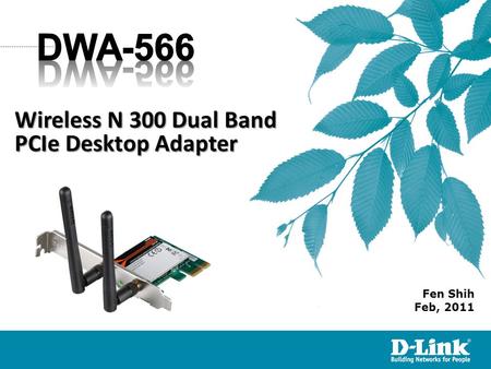 Fen Shih Feb, 2011 Wireless N 300 Dual Band PCIe Desktop Adapter.