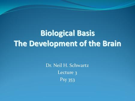 Biological Basis The Development of the Brain Dr. Neil H. Schwartz Lecture 3 Psy 353.