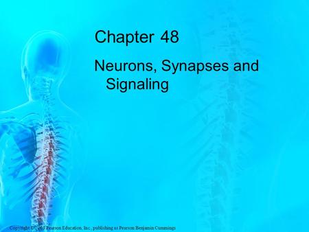 Chapter 48 Neurons, Synapses and Signaling.