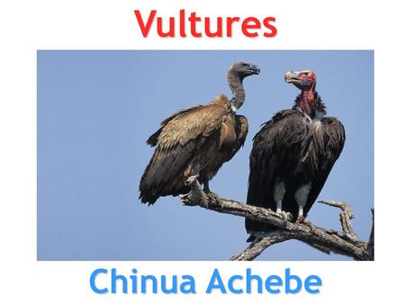 Vultures Chinua Achebe.
