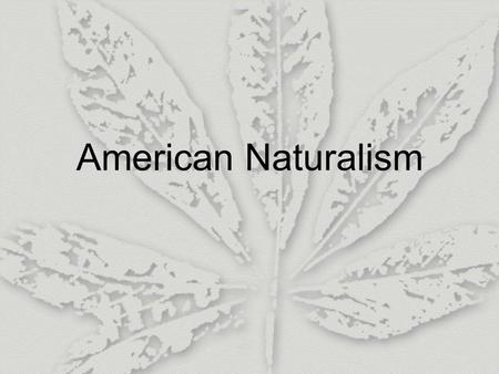 American Naturalism. I. Introduction 1. Origin (1) Industrialism: create a large group of very poor people; live in slums and cannot control their lives;