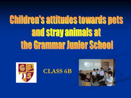 CLASS 6B. 2The Grammar Junior School Introduction We were interested about children’s attitudes towards pets and stray animals. We wanted to know how.