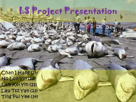 LS Project Presentation Chan I Hang (2) Ho Lon Yin (12) Lam Kei Yin (21) Lau Tsz Yan (23) Ting Pui Yee (34)