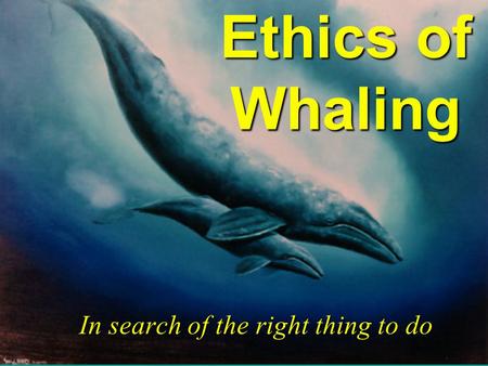 Ethics of Whaling In search of the right thing to do.
