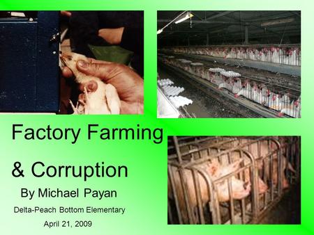 Factory Farming & Corruption By Michael Payan Delta-Peach Bottom Elementary April 21, 2009.