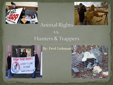 By: Fred Lishman. Animal rights activists want animals to have the same rights as humans do. Hunting and trapping is unnecessary and cruel. Animals don’t.