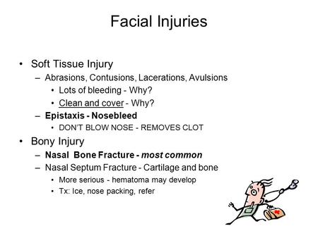 Facial Injuries Soft Tissue Injury –Abrasions, Contusions, Lacerations, Avulsions Lots of bleeding - Why? Clean and cover - Why? –Epistaxis - Nosebleed.