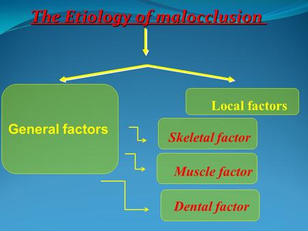 The Etiology of malocclusion