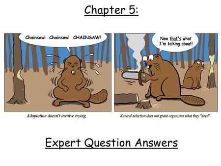 Chapter 5: Expert Question Answers. 1.Fossils - shows how some species have changed over time. 2.Homologous Structures - Body parts are similar in related.