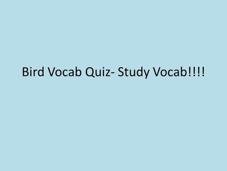 Bird Vocab Quiz- Study Vocab!!!!