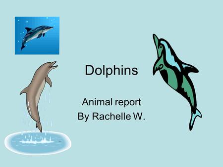 Dolphins Animal report By Rachelle W.. Controlling Body Temperature Dolphins use their blubber to control their body temperature.