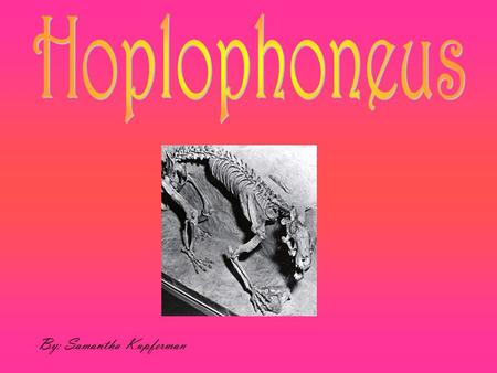 By: Samantha Kupferman. The Hoplophoneus would have been the size of a leopard. They had shared an almost identical structure with the SMILODON.  Short.