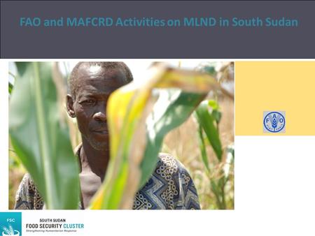 FAO and MAFCRD Activities on MLND in South Sudan Author SOUTH SUDAN.