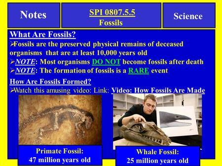 Notes Science Fossils What Are Fossils?