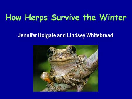 How Herps Survive the Winter Jennifer Holgate and Lindsey Whitebread.