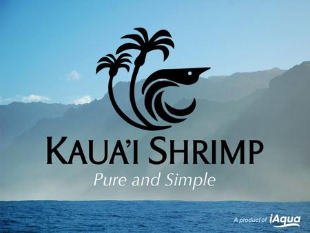 A product of. In this world of complexity and substitutes, Kauai Shrimp thrive on the purity and simplicity of nature. A product of 2 Slide.